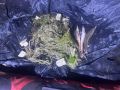В Волгограде направлено в суд дело о незаконном вылове редкой породы рыб