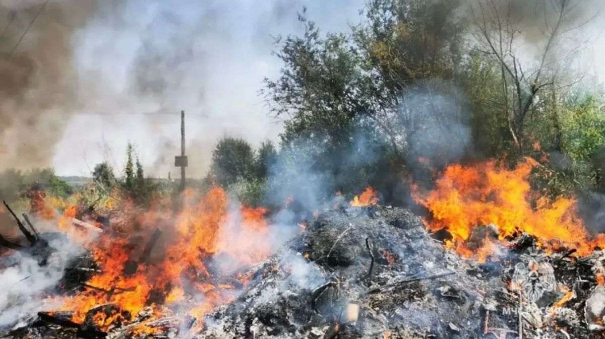 В Волгограде потушили пожар на открытой территории В Волгограде потушили пожар на открытой территории