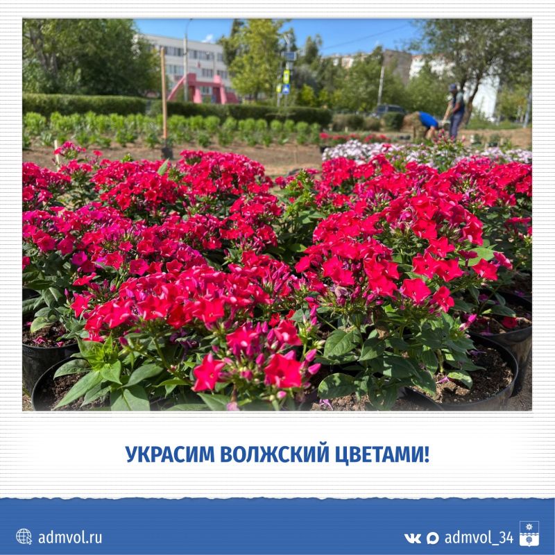 В Волжском стартовал конкурс «Украсим Волжский цветами»!