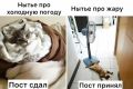 Жители Петербурга, Волгоградской и Самарской областей, теперь вы знаете что делать