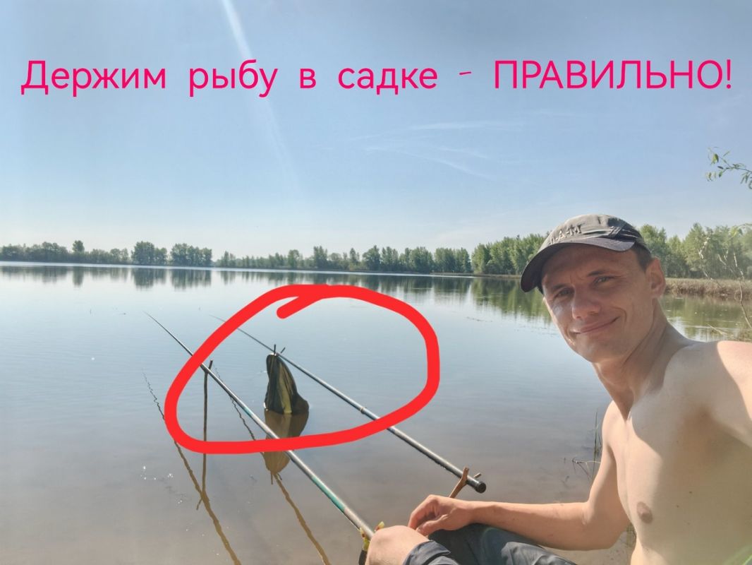 Как сохранить рыбу в жару: секреты эффективного садка