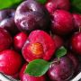 Шарафуга: экзотический фрукт с минимальным уходом и максимальным вкусом