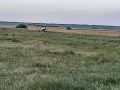 Леса Волгоградской области успешно защитили от нашествия опасных насекомых-вредителей с помощью специальной авиации и химических препаратов