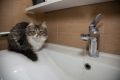 Отключение воды 16-17 июля ждет жителей центра Волгограда