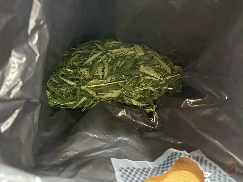 Приезжего из Омска, имевшего при себе почти килограмм запрещенного вещества, задержали михайловские полицейские Приезжего из Омска, имевшего при себе почти килограмм запрещенного вещества, задержали михайловские полицейские