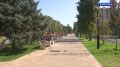 Волжан попросили закрывать окна утром и вечером на протяжении недели