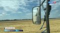 Яркие кадры с полей Быковского района