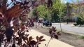 Основной комплекс ремонтных работ выполнили специалисты на улице Социалистической в Волгограде