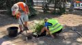 Специалисты приступили к высадке саженцев лиственных и хвойных деревьев и кустарников на реконструируемом участке бульвара на пр. им. В.И. Ленина, где формируется тематическое пространство, посвященное памяти режиссёра и...