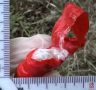 Пассажир такси попытался выбросить сверток с запрещенным веществом, когда его задерживали полицейские