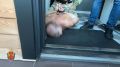 Волгоградца задержали за мошенничество в отношении супруги погибшего военнослужащего