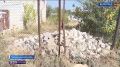 ��� ������ ���������������� ���� �������� � ������ ����� ������ � ���������� ��������� 24