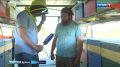 Сладкие кадры с пасеки в Михайловке