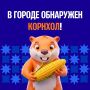 В городе обнаружен корнхол!