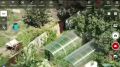 В Волжском сотрудники полиции обнаружили плантацию марихуаны