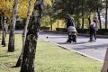 С сокращением светового дня многие жители Волгоградской области отмечают упадок сил, быструю утомляемость и снижение настроения