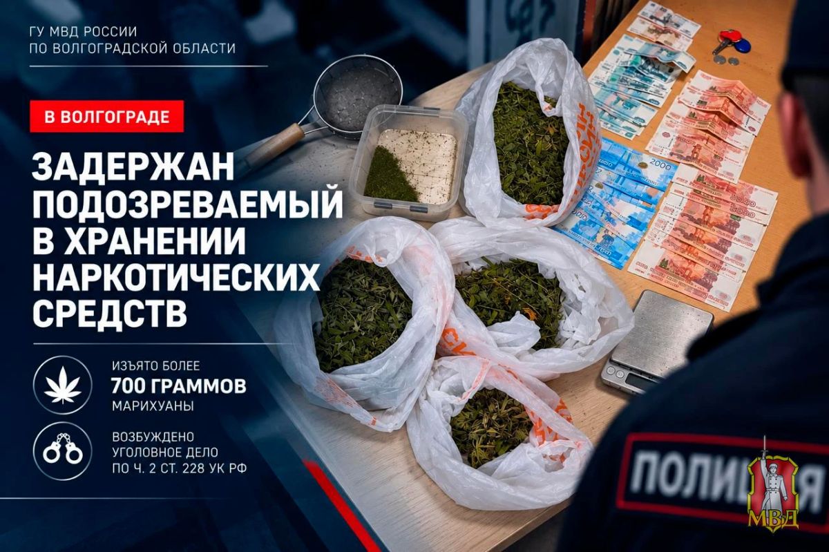 В Волгограде полицейские изъяли более 700 граммов марихуаны В Волгограде полицейские изъяли более 700 граммов марихуаны