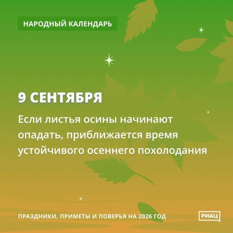 Много паутины - к ясной осени Много паутины - к ясной осени