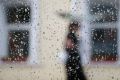 Грозы и дожди накроют Волгоградскую область 15 сентября