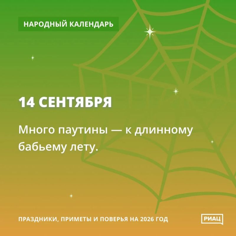 Сегодня обилие паутины предвещает длинное бабье лето Сегодня обилие паутины предвещает длинное бабье лето
