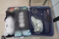 В Волгограде авиапассажира привлекут к административной ответственности за сувенир в форме кастета