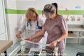 Четверо волгоградцев стали победителями и призерами Всероссийского конкурса врачей-2026