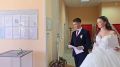 В Михайловке молодожены пришли в день свадьбы на голосование