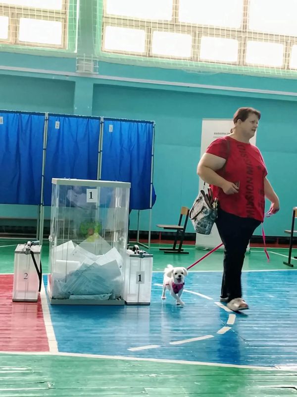 На выборы — вместе с любимыми питомцами! На выборы — вместе с любимыми питомцами!