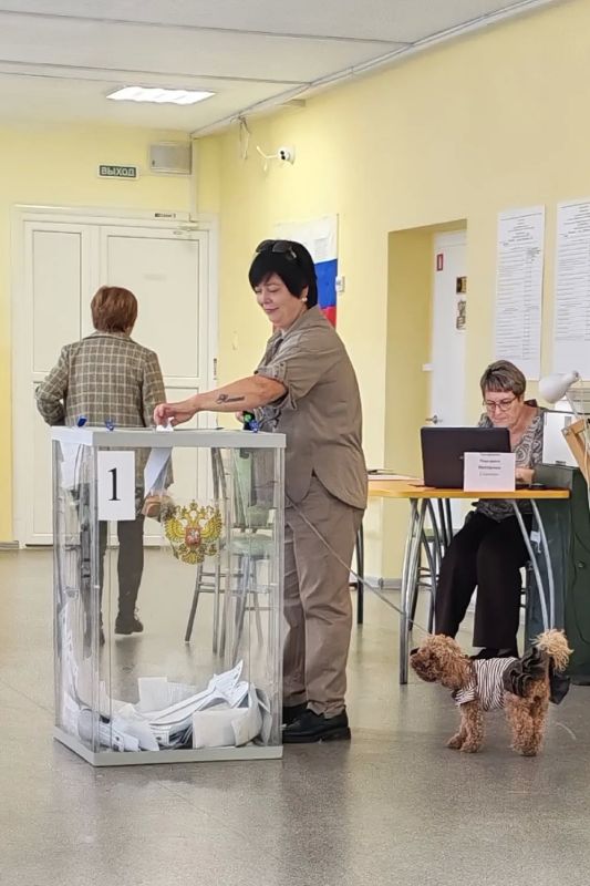 На выборы — вместе с любимыми питомцами! На выборы — вместе с любимыми питомцами!