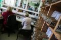 75-летняя волгоградка, заподозрившая у себя онкологию, приняла присосавшегося к ней клеща за быстро увеличивающуюся родинку на спине, рассказали в облздраве