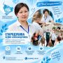 #ТвойСпециалист | Когда просто поговорить — уже важная помощь