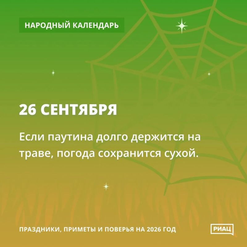 Паутина на траве - к сухой погоде Паутина на траве - к сухой погоде