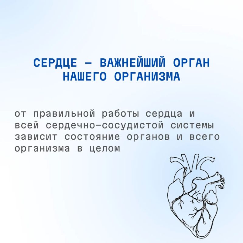 С 28 сентября по 04 октября 2026 проводится Неделя ответственного отношения к сердцу (в честь Всемирного дня сердца 29 сентября) С 28 сентября по 04 октября 2026 проводится Неделя ответственного отношения к сердцу (в честь Всемирного дня сердца 29 сентября)