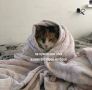 День осеннего одиночества отмечается сегодня