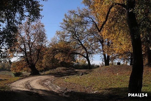 Осенние маршруты на выходные: куда съездить в Волгоградской области в октябре Осенние маршруты на выходные: куда съездить в Волгоградской области в октябре
