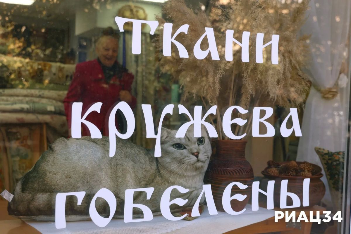 Пушистые талисманы Волгограда: смогут ли котики стать достопримечательностью главной улицы города Пушистые талисманы Волгограда: смогут ли котики стать достопримечательностью главной улицы города