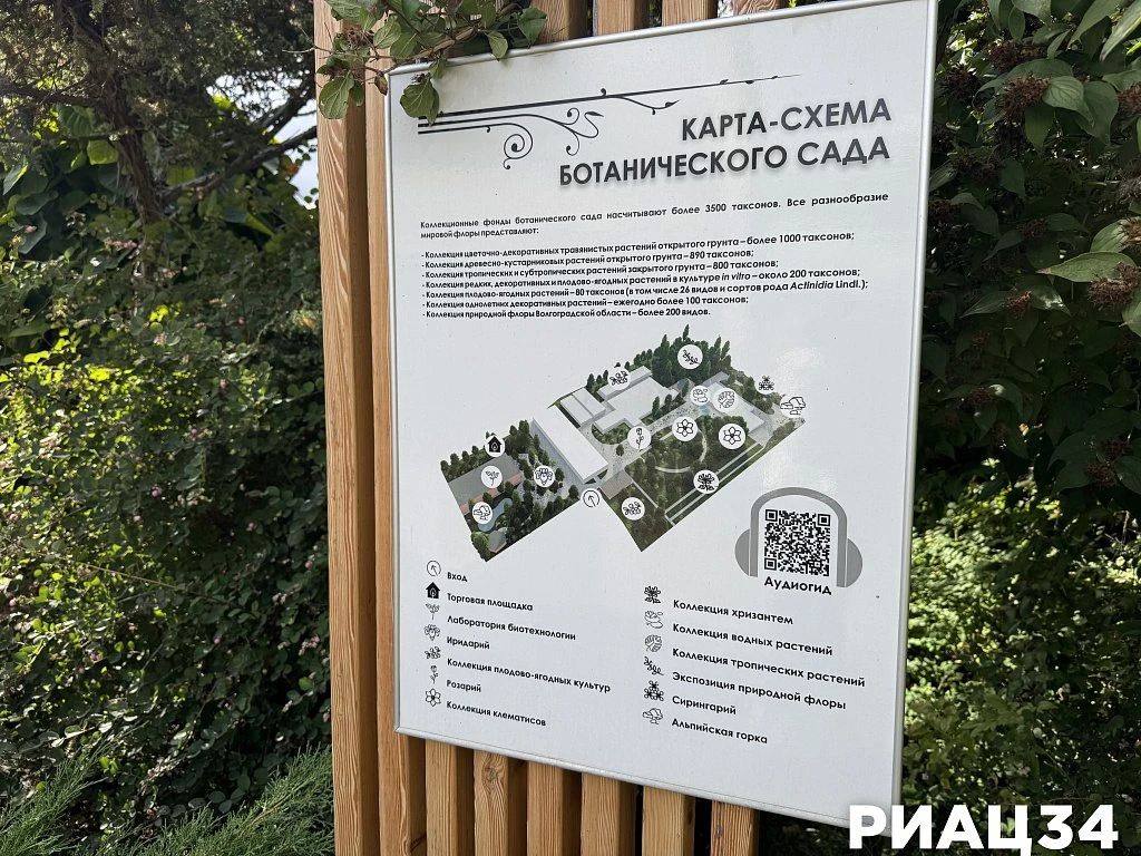 Ботсад в посёлке Металлургов продлил прогулки до конца октября Ботсад в посёлке Металлургов продлил прогулки до конца октября