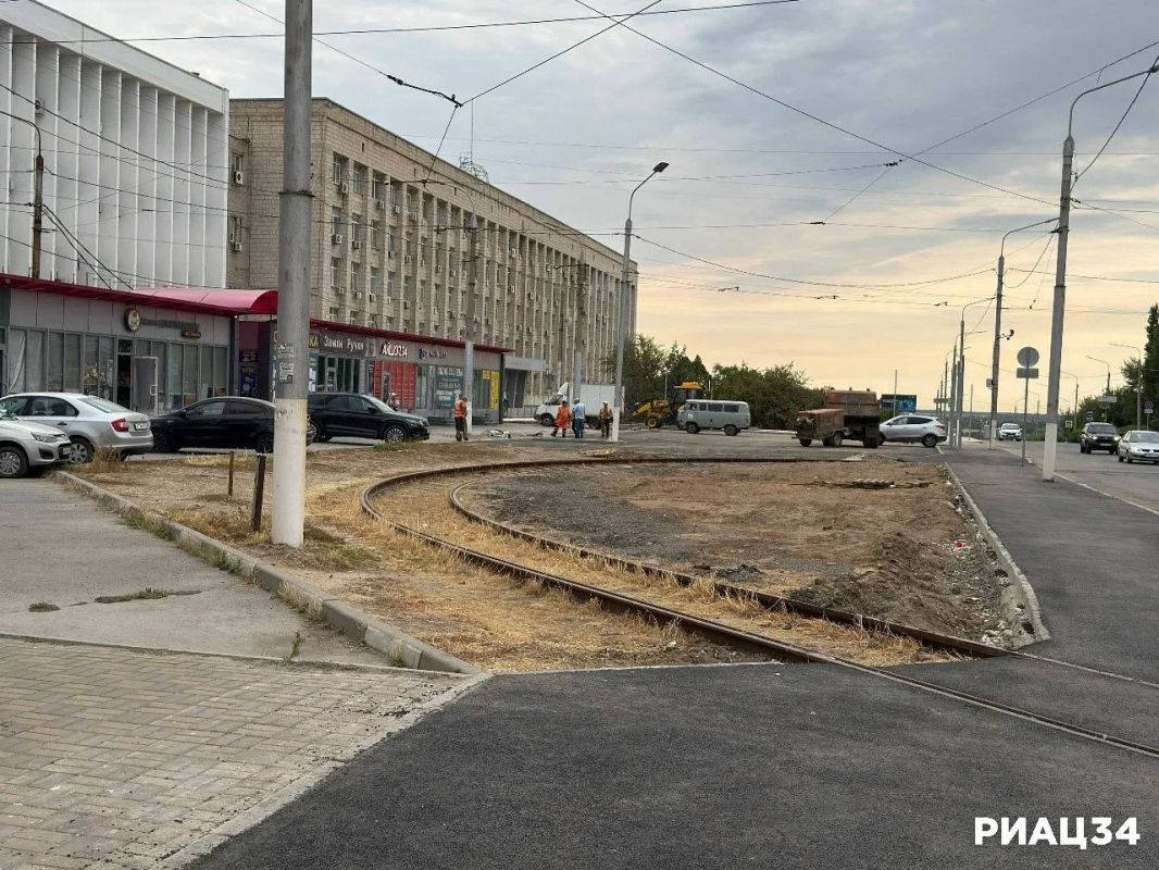 На 7-й Гвардейской в Волгограде высадят 250 деревьев и кустарников На 7-й Гвардейской в Волгограде высадят 250 деревьев и кустарников