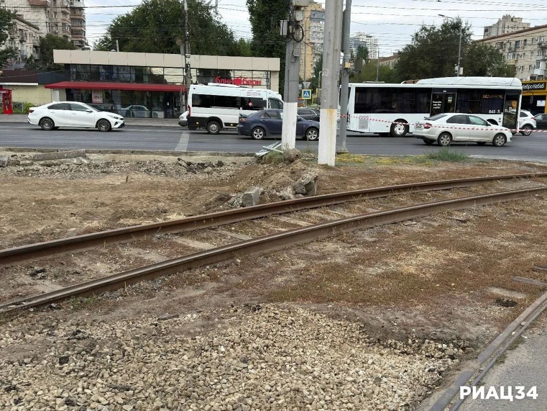 На 7-й Гвардейской в Волгограде высадят 250 деревьев и кустарников На 7-й Гвардейской в Волгограде высадят 250 деревьев и кустарников