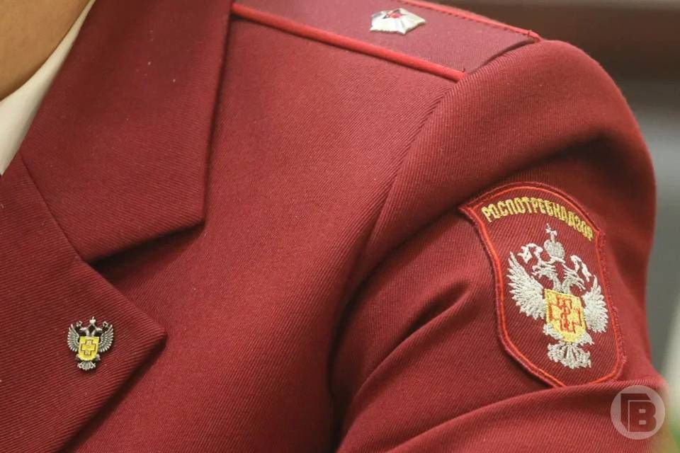 1480 жителей Волгоградской области, среди которых 519 детей, пострадали от укусов клещей, сообщили в Управлении Роспотребнадзора по региону