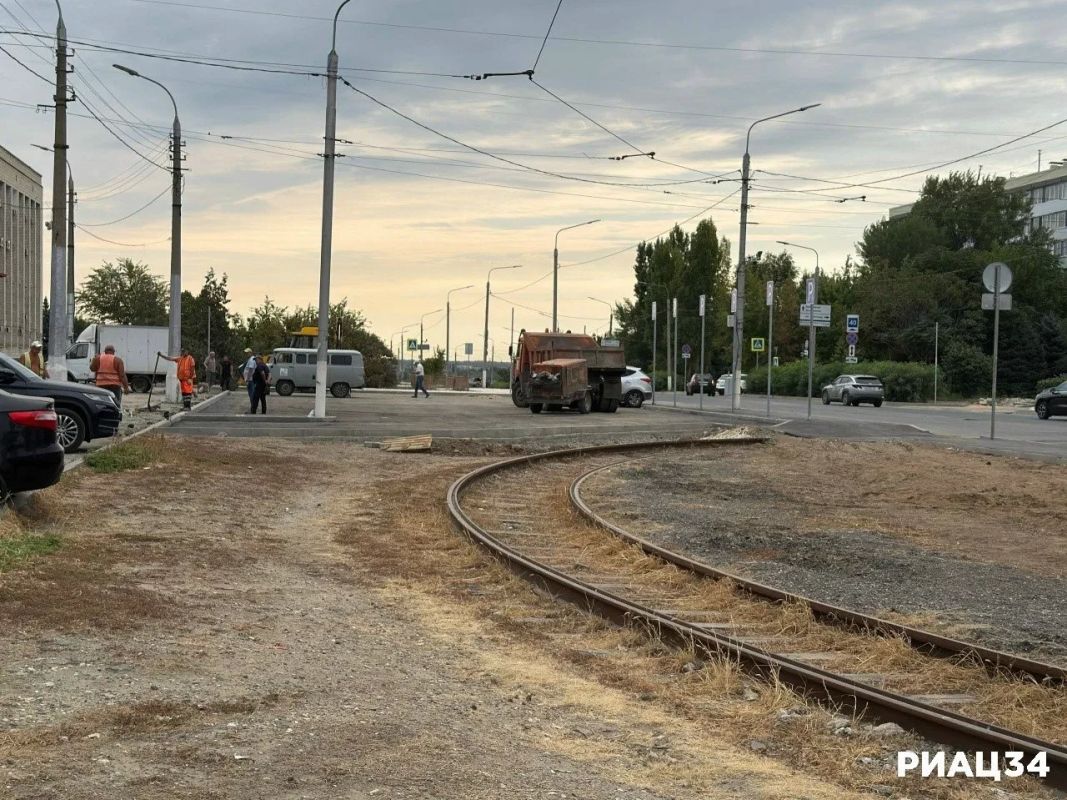 На 7-й Гвардейской в Волгограде высадят 250 деревьев и кустарников На 7-й Гвардейской в Волгограде высадят 250 деревьев и кустарников