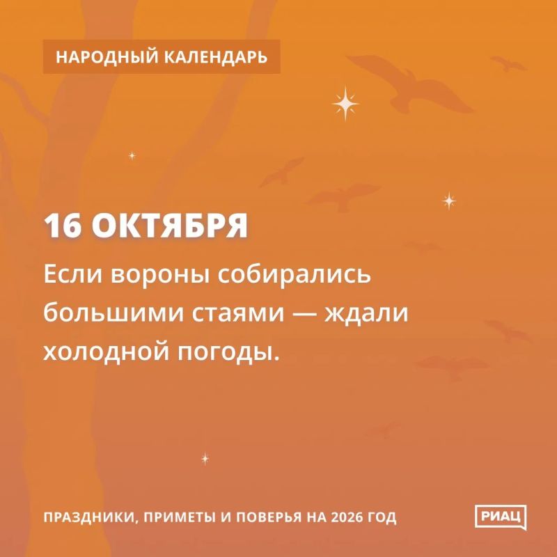 Ни холода, ни перемены погоды нам пока не грозят