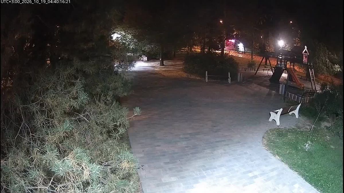 В Волжском неизвестная украла качели у малышей