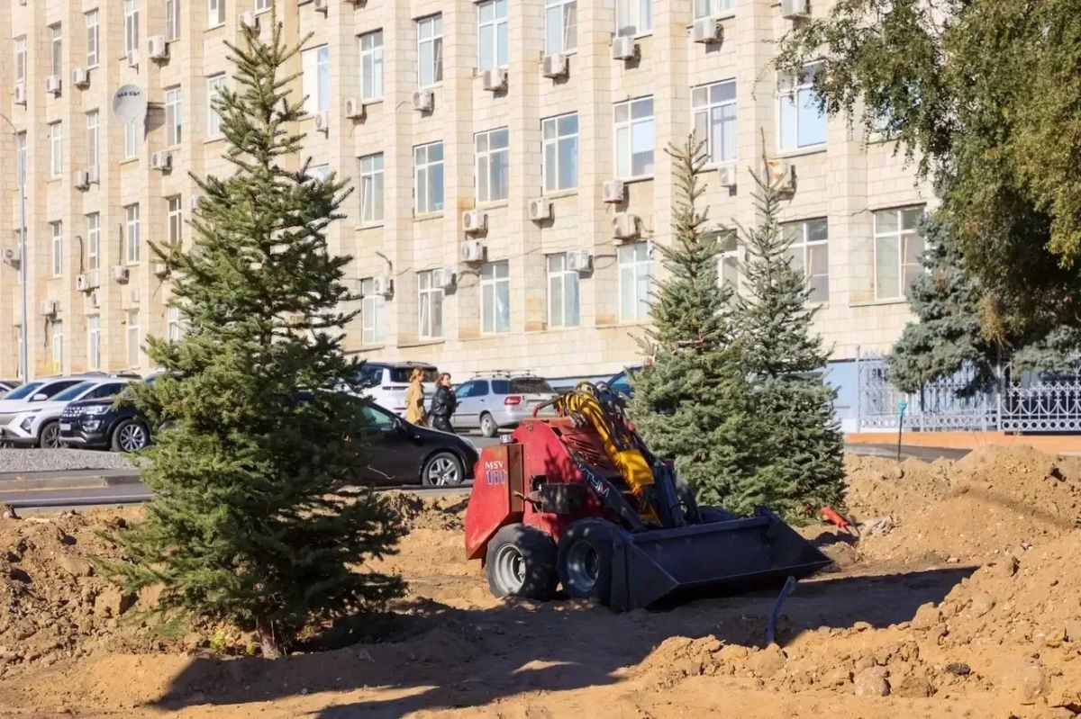На ул. 7-й Гвардейской началась высадка деревьев На ул. 7-й Гвардейской началась высадка деревьев