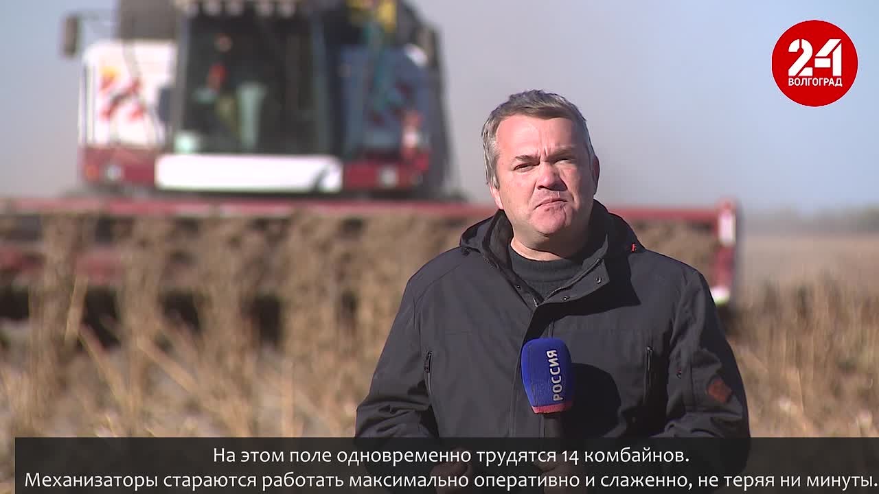 Хранилища и рукава под завязку! Подсолнечник убирают с полей волгоградские фермеры