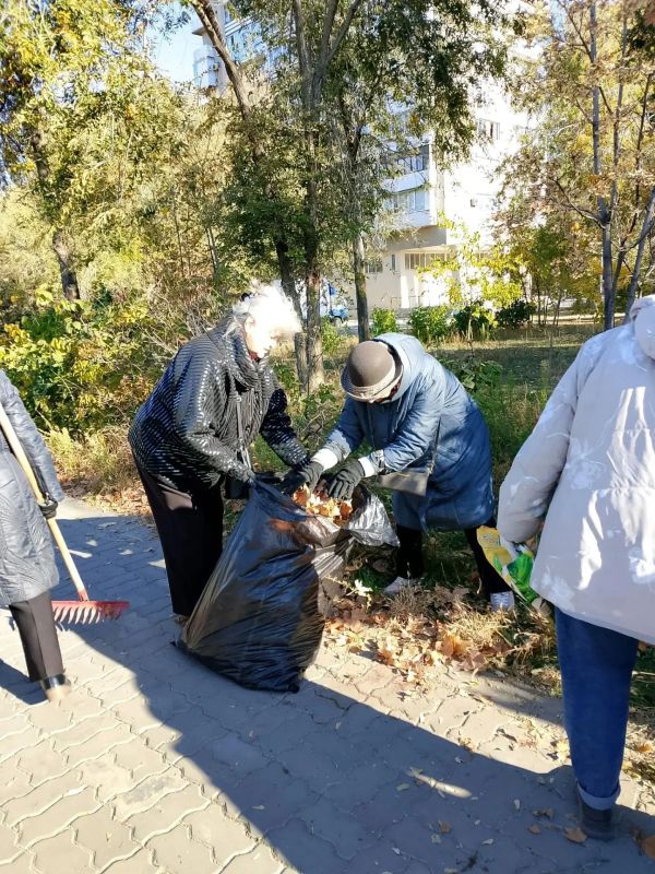 50 человек объединил субботник в парке «Волжский» 50 человек объединил субботник в парке «Волжский»