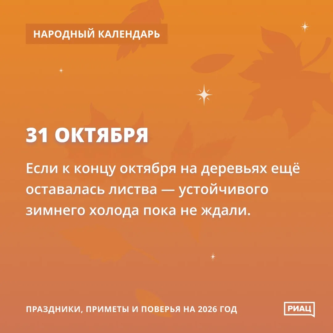 Много листьев на деревьях - верный признак продолжающегося тепла