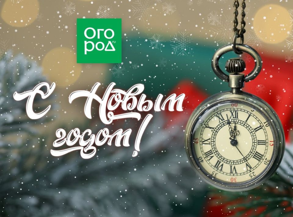 � ����� �����!