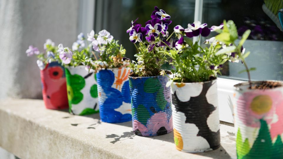 Не спички и не мыло: от мошек в цветочных горшках вмиг избавит эта добавка