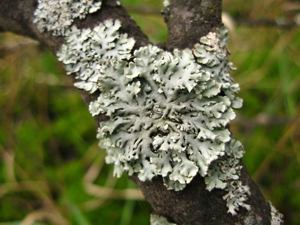 ����� ��������� �� �������: ������� �������� ����� ��������